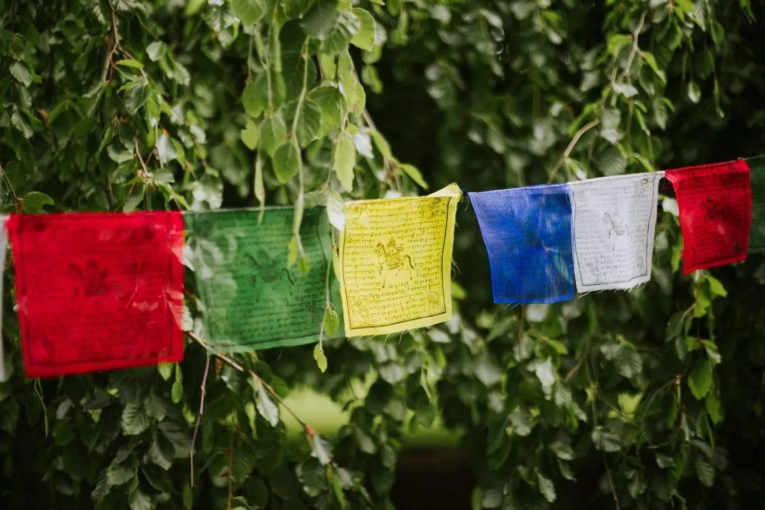 Authentic & Rustic Windhorse Flags