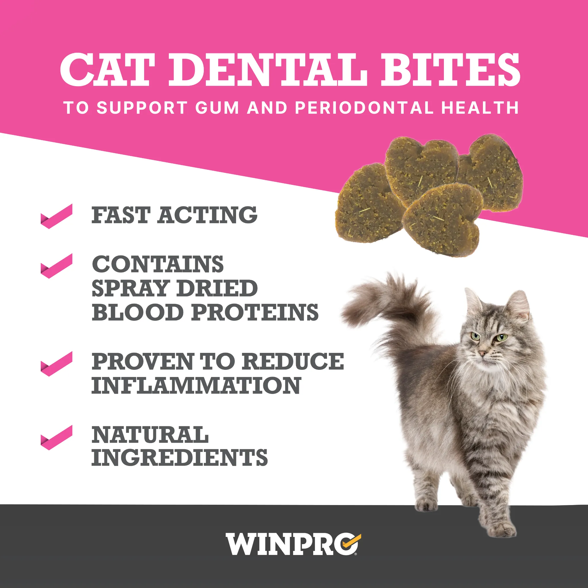 Cat Dental Bites