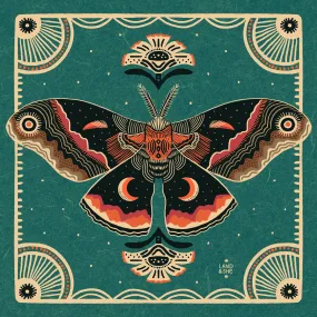 Cecropia Moth: 8x8