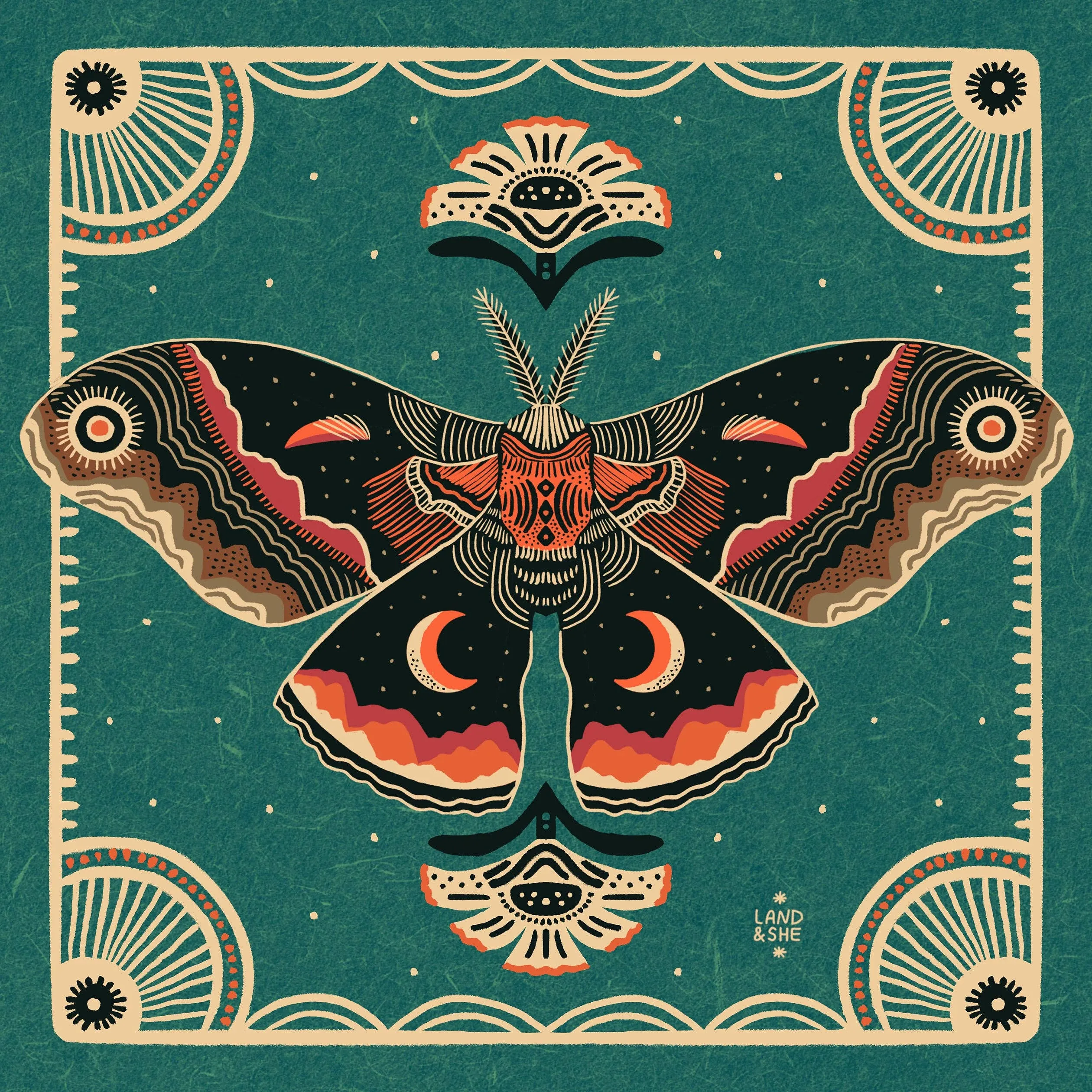 Cecropia Moth: 8x8