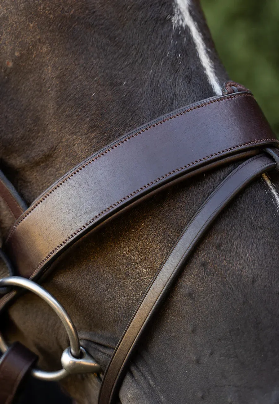 Field Master Bridle