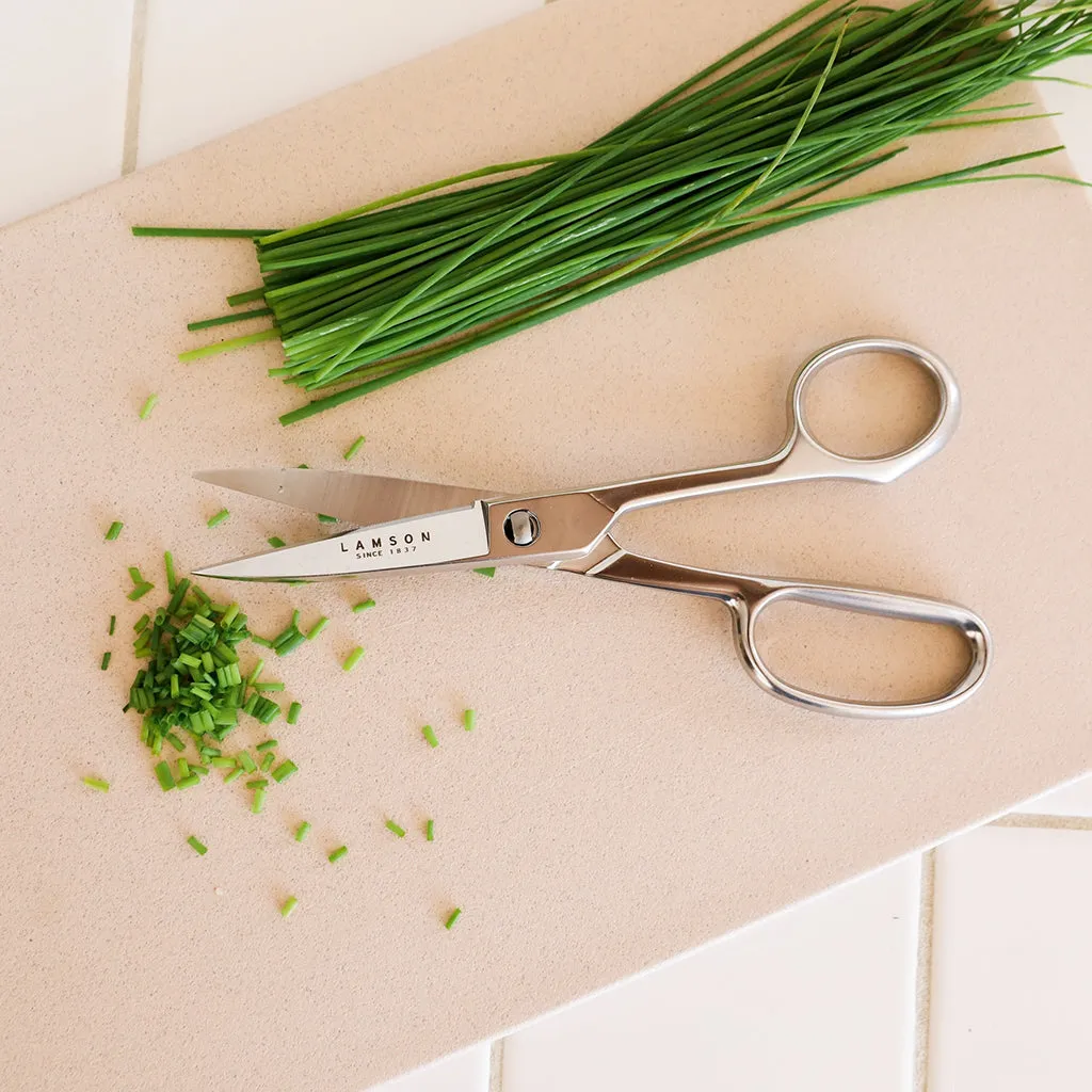 Forged Take-Apart Kitchen Shears