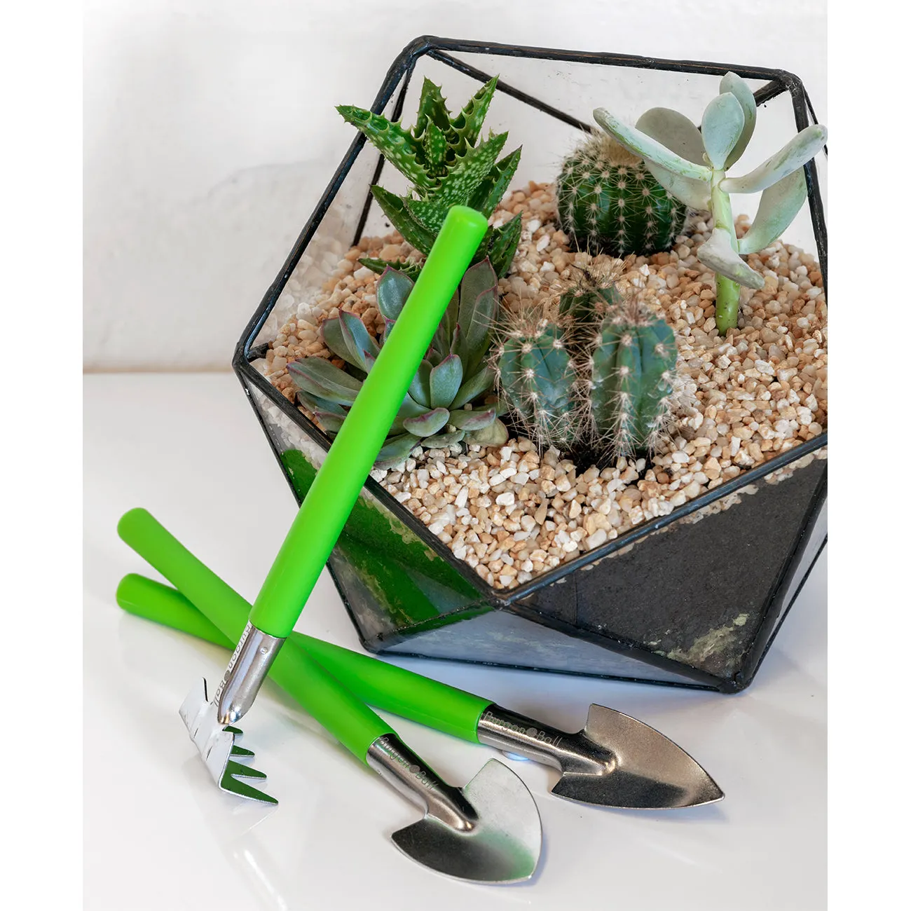 Houseplant and Terrarium Tool Set