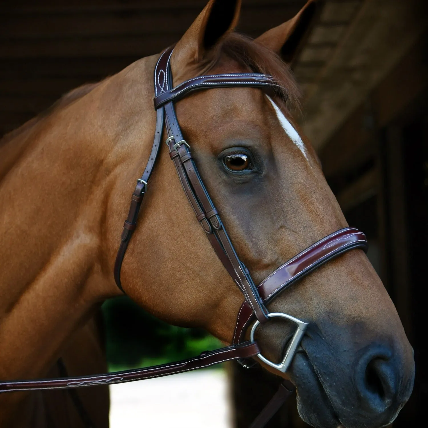 KL Tuscany Hunter Bridle