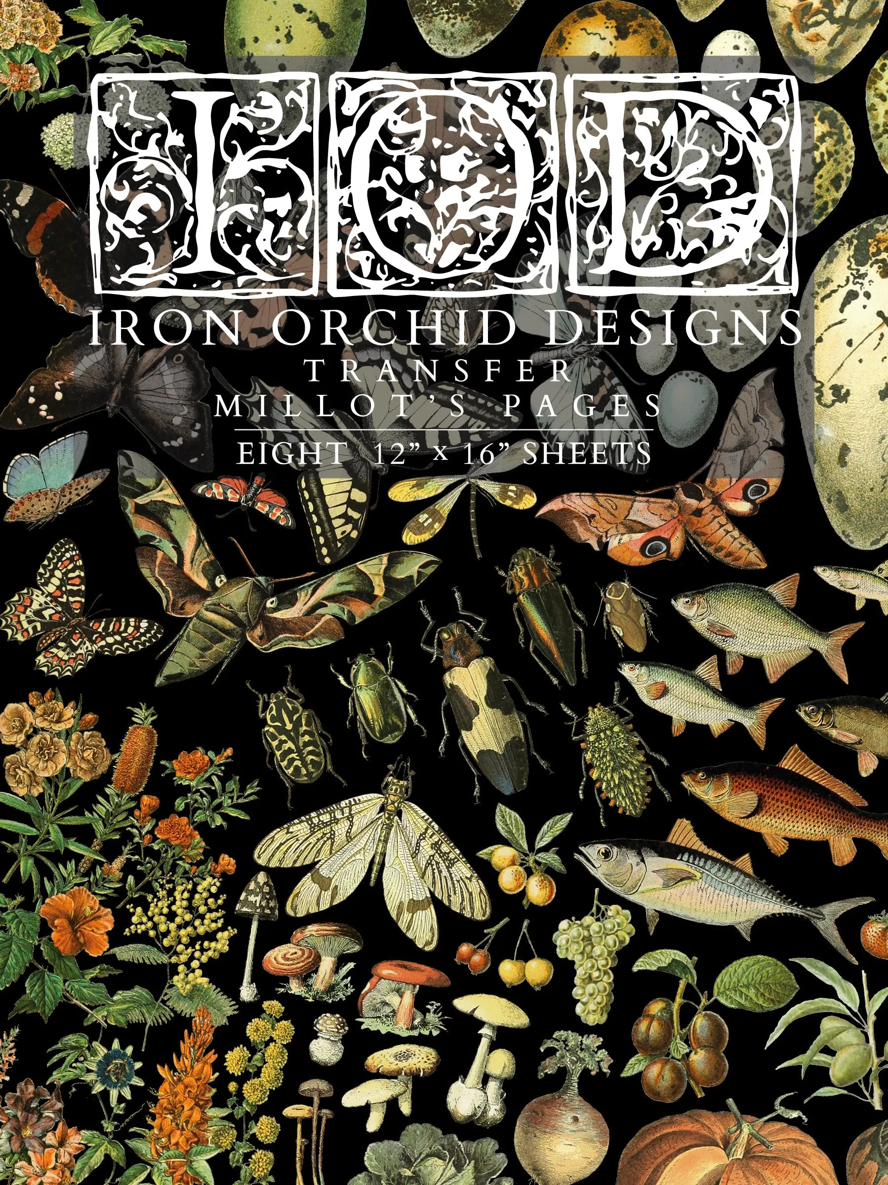 Millot's Garden IOD Transfer Iron Orchid Design