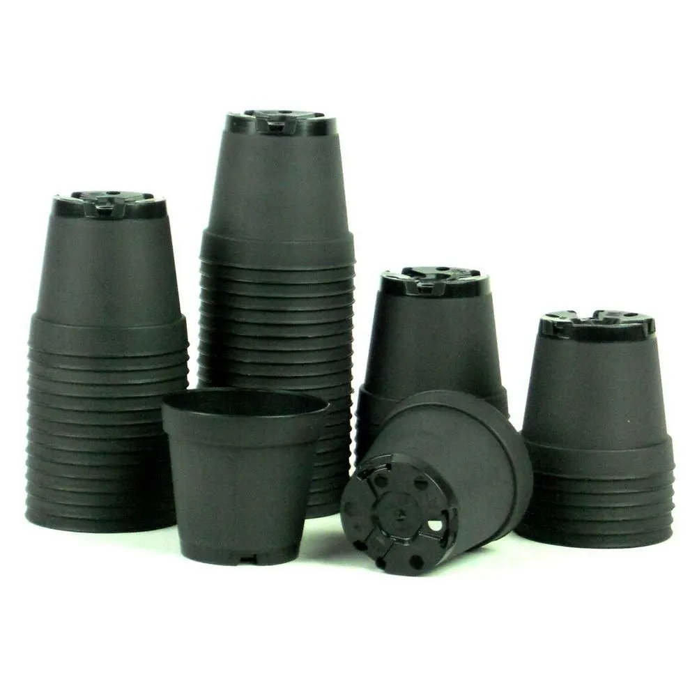 Nursery Pots - 4" & 6" Squat Pots