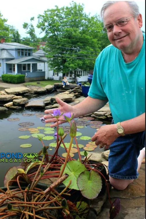 PondGRO Perfect Blend Soil for Waterlily, Lotus, Pond Plants <br>AVAILABLE NOW!