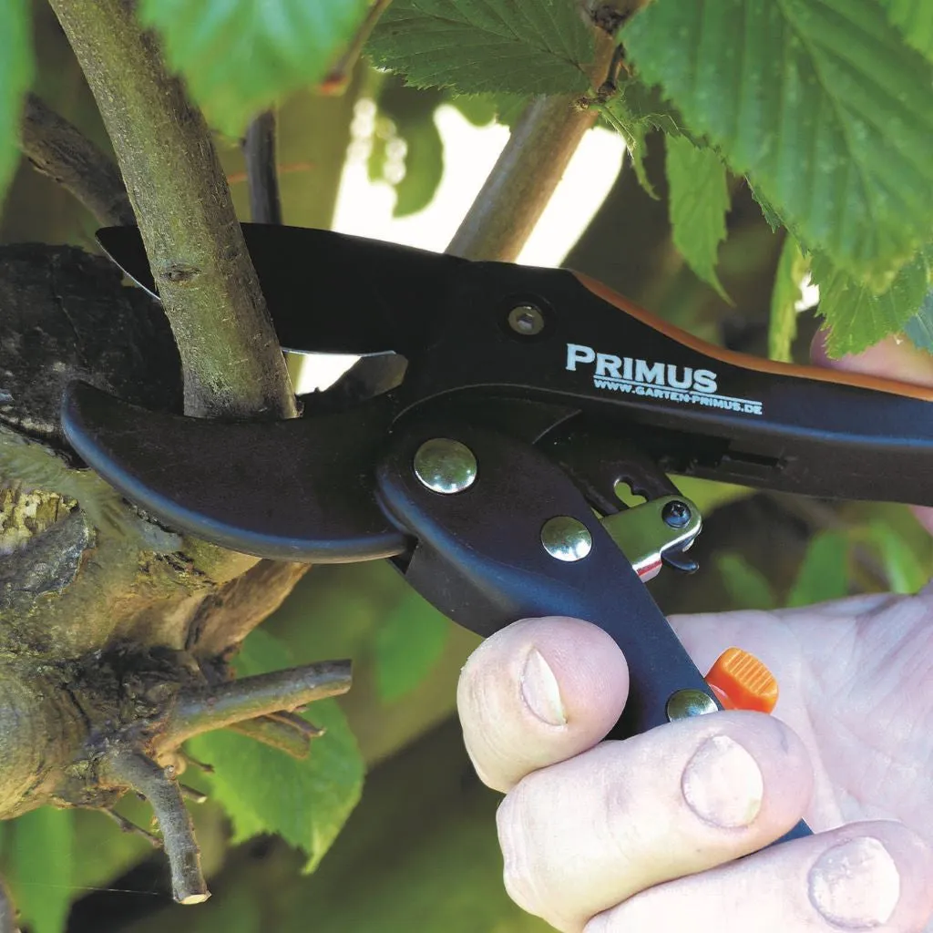 Pruner Lady Ratchet GP1015