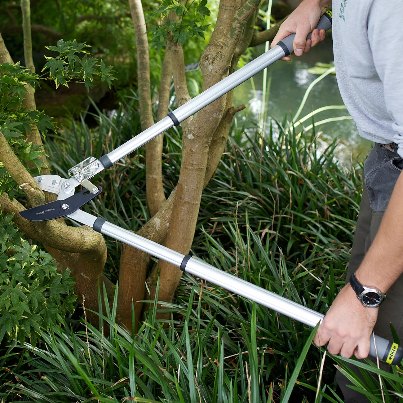 Telescopic Ratchet Lopper - RHS Endorsed