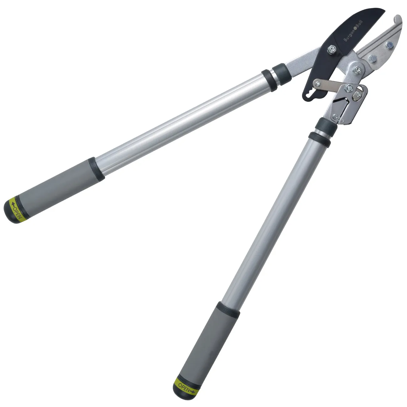 Telescopic Ratchet Lopper - RHS Endorsed