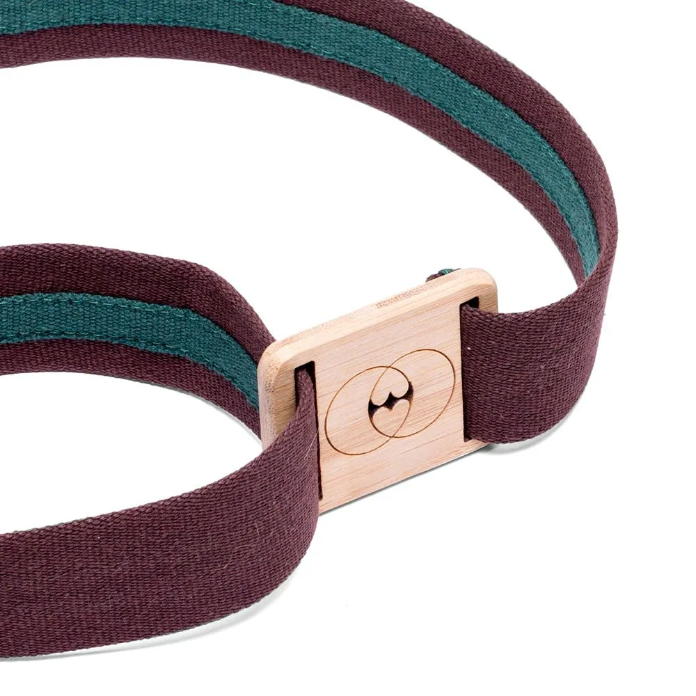 Vegan belt brown GAU010