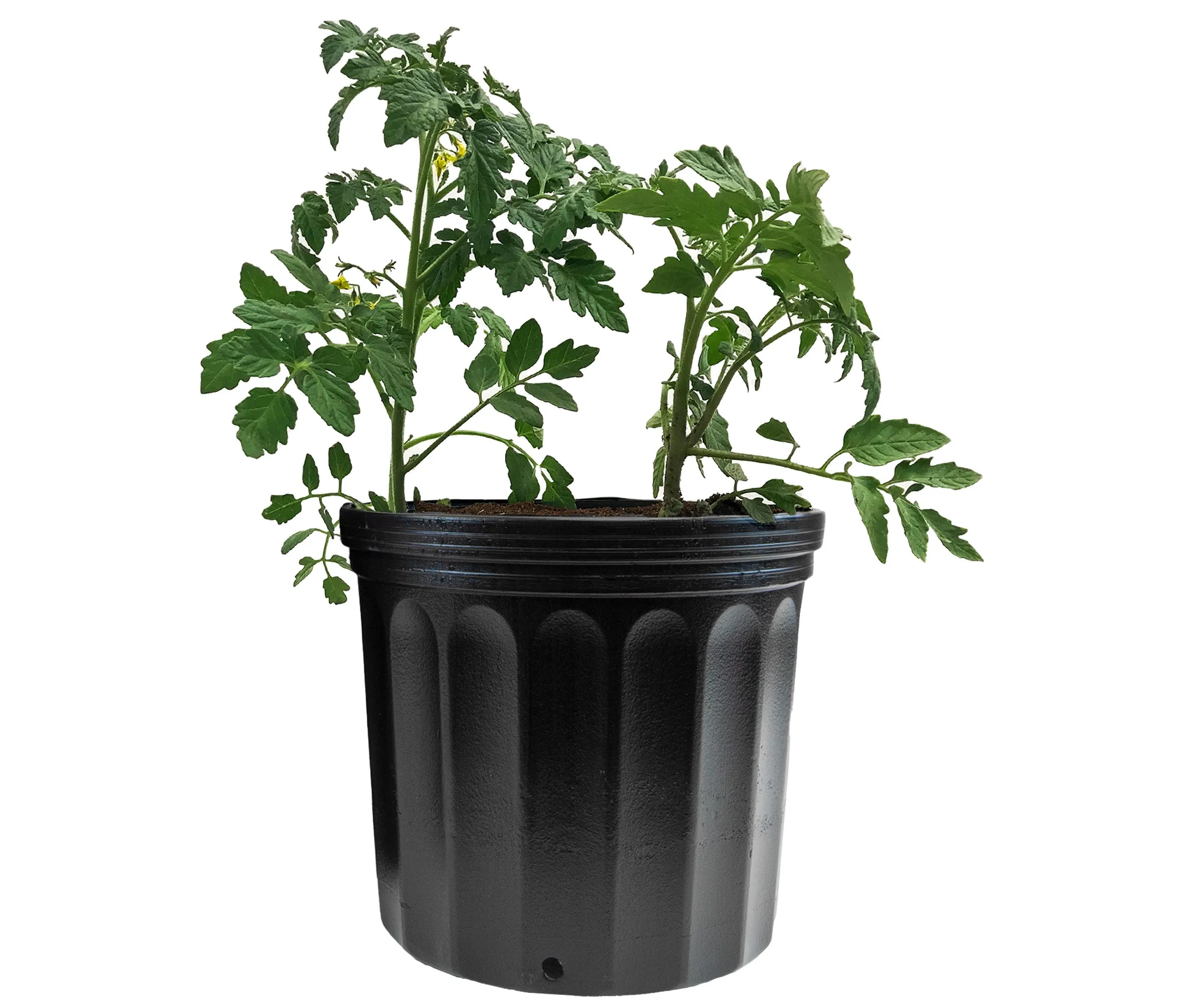 Viagrow 3 Gallon Nursery Pot (EA)