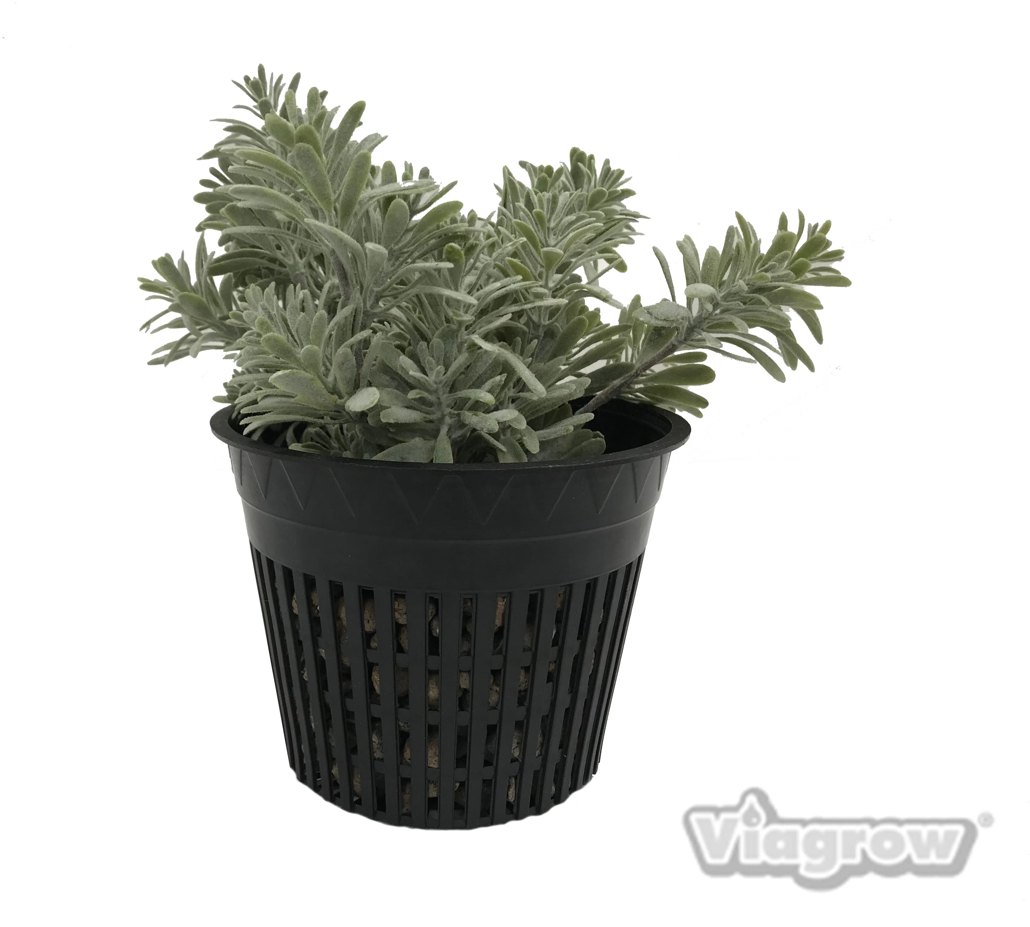 Viagrow Net Pot 5", Black (Case of 500)